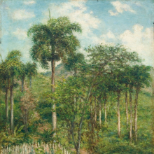Francisco Oller: Landscape with Royal Palm