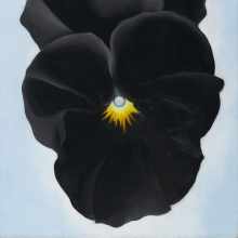 Georgia O'Keeffe: Black Pansy & Forget-Me-Nots (Pansy)