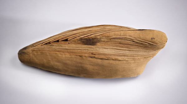 Ibis Mummy, from Abydos, Egypt