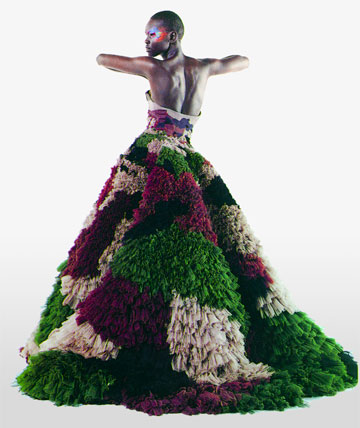 Karl Lagerfeld: Untitled (Alek Wek) Numéro