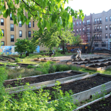 <p>Linda Goode Bryant (American, b. 1949) and Project EATS. <em>Moving Compost (Amboy Garden Farm, Brownsville, Brooklyn)</em>, 2013. Compost, soil, wheelbarrows, shovels, community resident participation, 25 cubic yards of compost spread over 2,226 square feet of land. Project EATS, © Active Citizen Project. Photo: Linda Goode Bryant, Active Citizen Project</p>