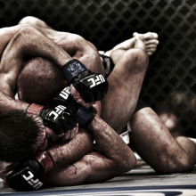 Franck Seguin: Mixed Martial Arts Fight, UFC 154, Montreal, Canada, 2012