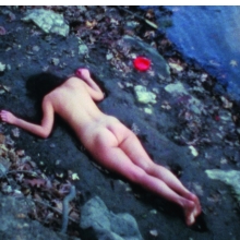 <p>Ana Mendieta (Cuba 1948–1985 United States; worked in the United States). <em>Corazón de roca con sangre</em> (Rock heart with blood), 1975. Super 8 film converted to high definition digital media, color, silent, 3:03 min. Courtesy of The Estate of Ana Mendieta Collection, LLC, and Galerie Lelong, New York. © Ana Mendieta</p>