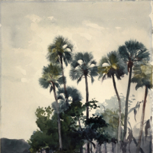 
                           
                           Winslow Homer (American, 1836–1910). Homosassa River, 1904. Watercolor with additions of gum over graphite on cream, moderately thick, moderately textured wove paper. Brooklyn Museum, Museum Collection Fund and Special Subscription, 11.542
                           
                           