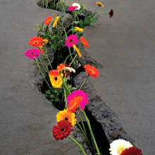 
                           
                           Lee Mingwei (American, b. Taiwan, 1964). The Moving Garden (detail), 2009. Installation view, Lyon Biennale (2009). Stainless steel, granite, water, fresh flowers, 2 × 4.4 × 39.4 ft. (0.6 × 1.34 × 12 m). Collection of Amy and Leo Shih, Taichung, Taiwan
                           
                           
