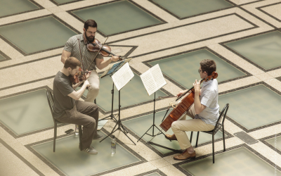 <p>Brooklyn Symphony Orchestra</p>