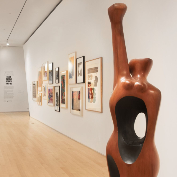 <p>Installation view, We Wanted a Revolution: Black Radical Women, 1965-85, Brooklyn Museum</p>