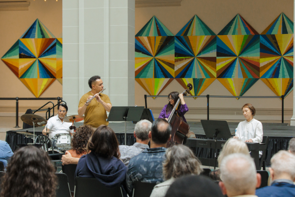 Brooklyn Museum: Pop Up Performances: Brooklyn Symphony Orchestra