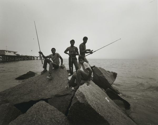 Stephen Salmieri: Coney Island