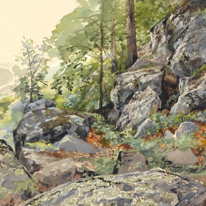 William Trost Richards: Woodland Boulders