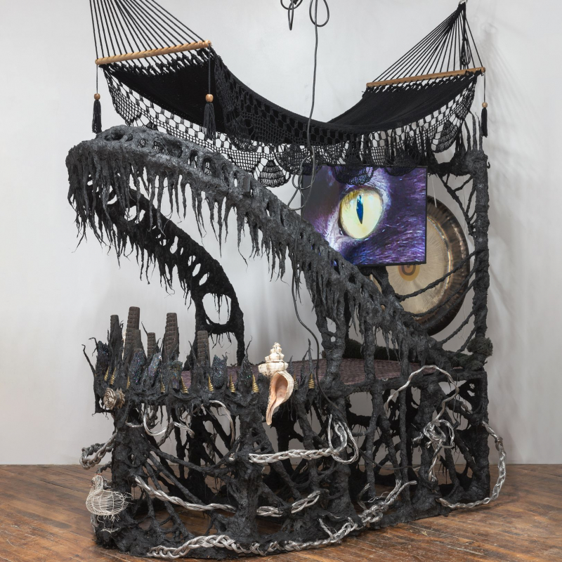 
      Guadalupe Maravilla: Tierra Blanca Joven
    