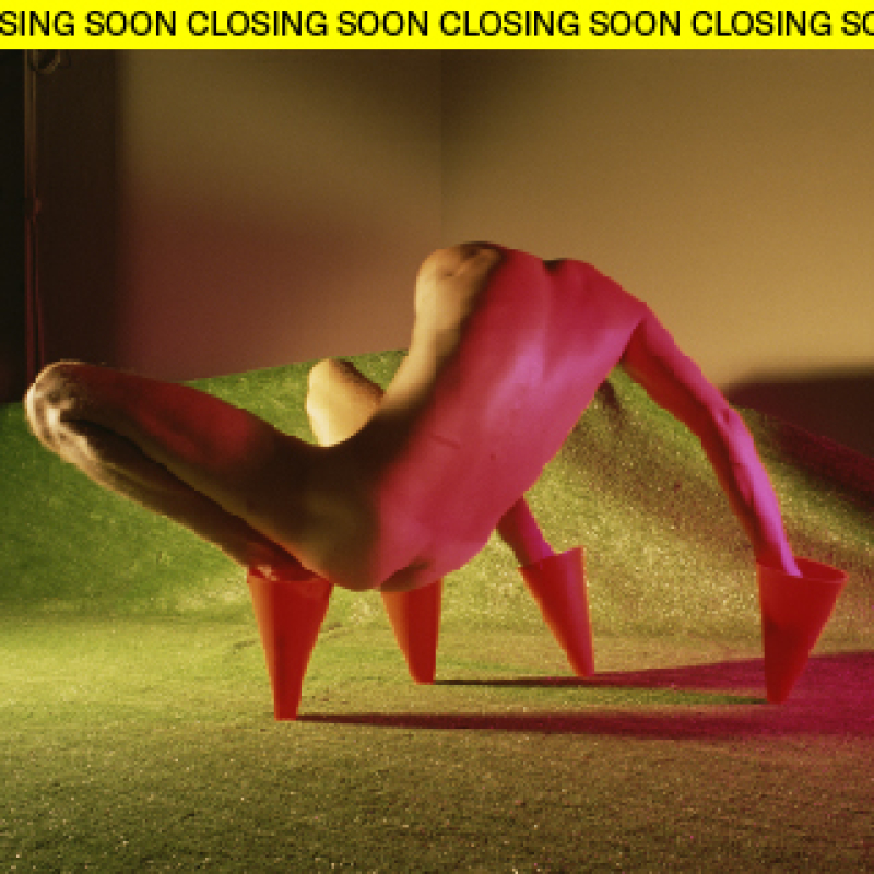 Jimmy DeSana: Submission