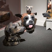 <p>Michael Ballou (American, b. 1952). Installation view of <i>Dog Years</i>, 2013. Blue foam, urethane foam, plaster, paint, dimensions variable. (Photo: Brooklyn Museum)</p>