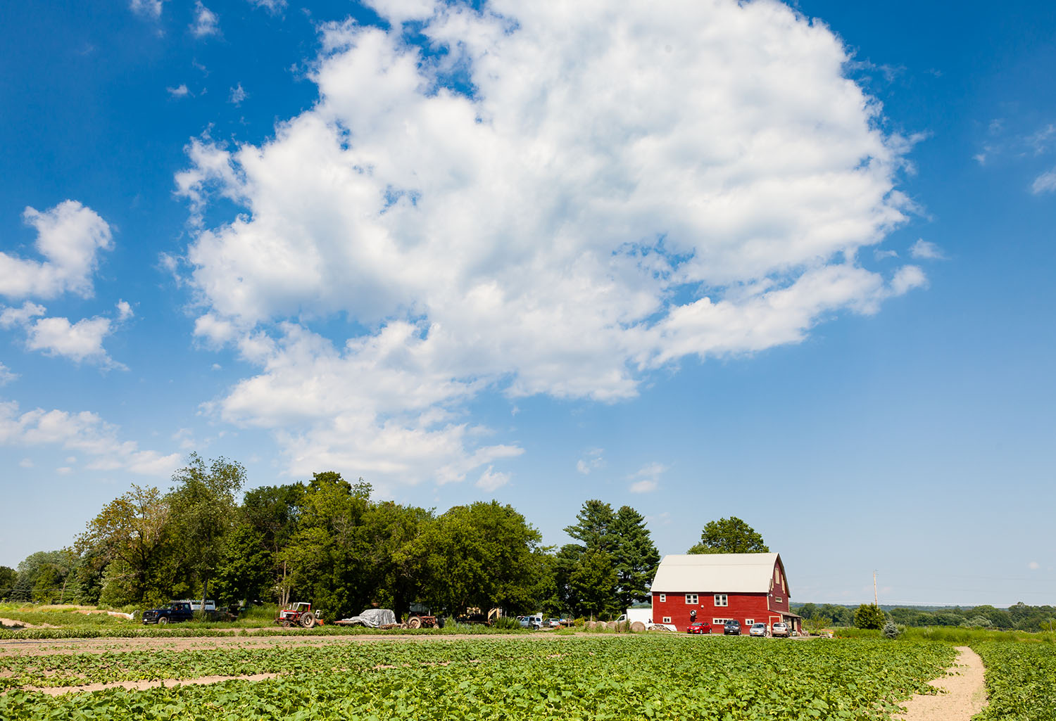 Brooklyn Museum Bradley Farm Dinner at The Norm