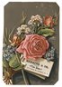 Scrapbook of trade cards, 1877-1894.