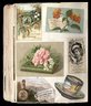 Scrapbook of trade cards, 1877-1894.