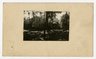 Erasmus Hall : Church Avenue and Flatbush Avenue, Brooklyn, New York / card prepared by Pope, Bretz.