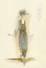 Fashion and Costume Sketch Collection, 1912-1950.