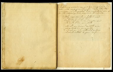 <em>"Jane Schenck journal."</em>, 1812-1816. Printed material. Brooklyn Museum. (CS71_Sch21_A4_Malbone_Schenck_p46-47_edited_SL1.jpg