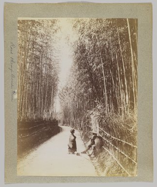 <em>"Annotated:  Road through bamboo grove."</em>, 1890. Bw photographic print, sepia toned. Brooklyn Museum. (Photo: Brooklyn Museum, DS809_P56_vol1_no11b_PS4.jpg