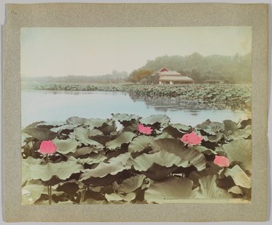 <em>"Lotus pond Shinobadzu Uyeno Park Tokyo."</em>, 1890. Bw photographic print, sepia toned. Brooklyn Museum. (Photo: Brooklyn Museum, DS809_P56_vol1_no19a_PS4.jpg