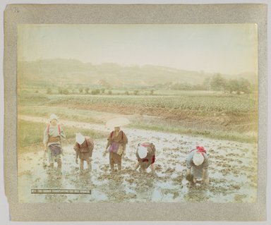 <em>"9. The farmer transplanting the rice sprouts."</em>, 1890. Bw photographic print, sepia toned. Brooklyn Museum. (Photo: Brooklyn Museum, DS809_P56_vol1_no47b_PS4.jpg