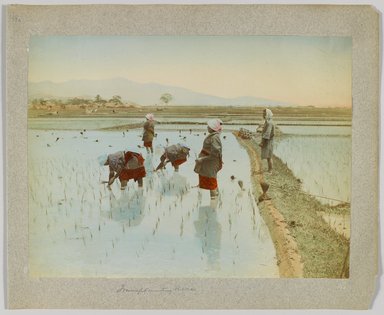 <em>"Annotated:  Transplanting rice."</em>, 1890. Bw photographic print, sepia toned. Brooklyn Museum. (Photo: Brooklyn Museum, DS809_P56_vol1_no48a_PS4.jpg