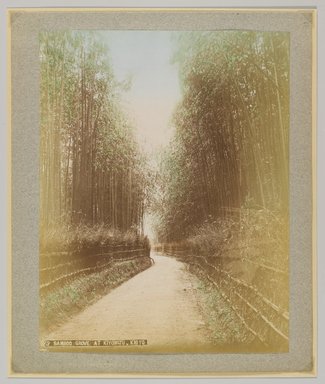 <em>"13. Bamboo grove at Kiyomizu, Kioto."</em>, 1890. Bw photographic print, sepia toned. Brooklyn Museum. (Photo: Brooklyn Museum, DS809_P56_vol2_no61_PS4.jpg