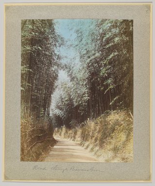 <em>"Annotated:  Road through bamboo grove."</em>, 1890. Bw photographic print, sepia toned. Brooklyn Museum. (Photo: Brooklyn Museum, DS809_P56_vol2_no63_PS4.jpg