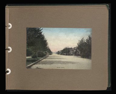 <em>"Ditmas Avenue."</em>. Photograph album, 8.375 x 10.125 in (21 x 26.6 cm). Brooklyn Museum, CHART_2012. (F129_B79_B776_Brooklyn_Garden_18.jpg