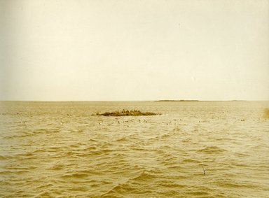 <em>"Beach Haven: the great seashore opportunity. Views of Beach Haven. View 32: duck hunters in blind."</em>, 1900-1914. Bw photograph (original print), 9 x 7in (23 x 18cm). Brooklyn Museum, Beachhaven. (F142_O2_B35_Beachhaven_030.jpg