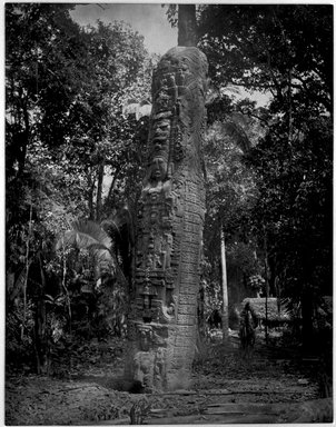 <em>"Quiriguá. Stela F, South Face and East Side."</em>, 1883. Bw copy negative, 4 x 5in (10.2 x 12.8 cm). Brooklyn Museum, Maudslay. (F1435_M442_Maudslay_016.jpg