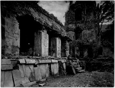 <em>"Palenque. The Palace, House C and the Tower, from the Western Court."</em>, 1890. Bw copy negative, 4 x 5in (10.2 x 12.8 cm). Brooklyn Museum, Maudslay. (F1435_M442_Maudslay_034.jpg