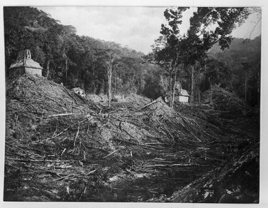 <em>"Palenque. View from the East Side of the Palace Mound."</em>, 1890. Bw copy negative, 4 x 5in (10.2 x 12.8 cm). Brooklyn Museum, Maudslay. (F1435_M442_Maudslay_039.jpg