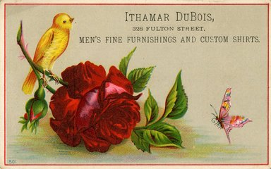 <em>"Trade card. Ithamar Dubois. 328 Fulton Street. Brooklyn."</em>. Printed material, 11.25 x 7.25cm. Brooklyn Museum, CHART_2012. (HF5841_B11_partB_tradecard06_DuBois.jpg