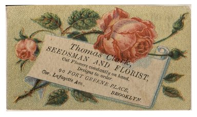 <em>"Tradecard. Thomas Clark. Seedsman & Florist. 90 Fort Greene Place. Brooklyn, NY. Recto."</em>. Printed material, 3.5 x 2 in (8.9 x 5.15 cm). Brooklyn Museum, CHART_2012. (HF5841_C59_v1_p46_tradecard02_recto.jpg