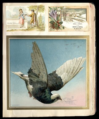 <em>"Full view of scrapbook page. Includes 2 tradecards of Brooklyn businesses: Rozell and Andrews, Harding & Co."</em>. Printed material, 10 x 12.25 in (25.4 x 31.1 cm). Brooklyn Museum, CHART_2012. (HF5841_C59_v1_p47.jpg