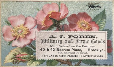 <em>"Tradecard. A.J. Foren. 40 and 42 Boerum Place. Brooklyn."</em>. Printed material, 2 x 3in. (4.5 x 8cm). Brooklyn Museum, CHART_2012. (Photo: F. Todd, HF5841_C59_v2_p21d_tradecard_Foren.jpg