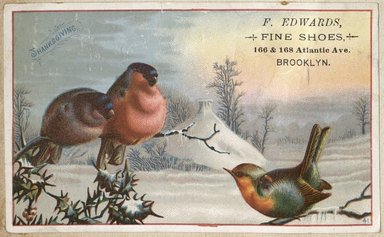 <em>"Tradecard. F. Edwards. 166 and 168 Atlantic Avenue. Brooklyn."</em>. Printed material, 3 x 4in. (7 x 11.75cm). Brooklyn Museum, CHART_2012. (HF5841_C59_v2_p27g_tradecard_Edwards.jpg