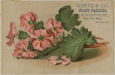 <em>"Tradecard. Goetz and Company. 81 and 83 Court Street. Brooklyn."</em>. Printed material, 3 x 4in (8 x 10cm). Brooklyn Museum, CHART_2012. (HF5841_C59_v2_p86f_tradecard_Goetz_and_Company.jpg