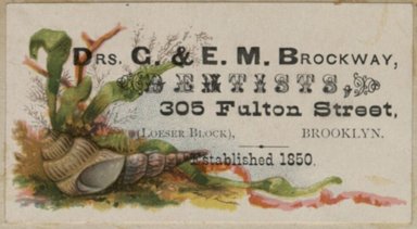 <em>"Tradecard. Doctors G. and E.M. Brockway. 305 Fulton Street. Brooklyn."</em>. Printed material, 2 x 3in. (4.5 x 8cm). Brooklyn Museum, CHART_2012. (HF5841_C59_v2_p86g_tradecard_Brockway.jpg