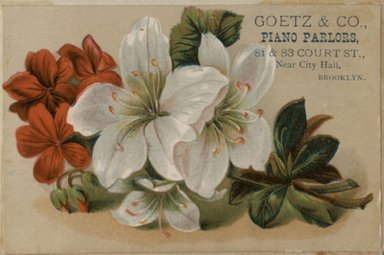 <em>"Tradecard. Goetz and Company. 81 and 83 Court Street. Brooklyn."</em>. Printed material, 3 x 4in (8 x 10cm). Brooklyn Museum, CHART_2012. (HF5841_C59_v2_p86i_tradecard_Goetz_and_Company.jpg