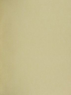 <em>"Blank page."</em>, 1910. Printed material. Brooklyn Museum, NYARC Documenting the Gilded Age phase 1. (Photo: New York Art Resources Consortium, N133_C82_0067.jpg
