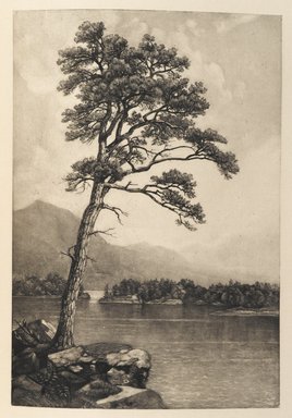 <em>"Pine Tree"</em>. Printed material. Brooklyn Museum. (N200_D93_D93_Durand_Life_and_Times_p204_Pine_Tree.jpg
