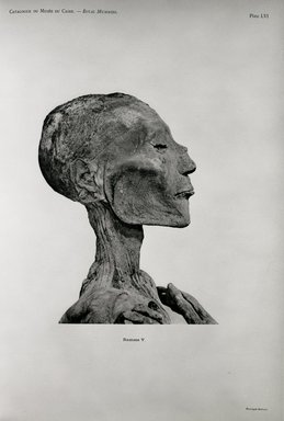 <em>"Catalogue du Musee du Caire. Royal Mummies, Ramses V, head view."</em>. Bw negative 4x5in. Brooklyn Museum. (Photo: Brooklyn Museum, N364_C12_Sm5_Smith_v2_plLVI_Royal_Mummies.jpg