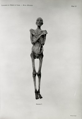 <em>"Catalogue du Musee du Caire. Royal Mummies, Ramses V, full body view."</em>. Bw negative 4x5in. Brooklyn Museum. (Photo: Brooklyn Museum, N364_C12_Sm5_Smith_v2_plLV_Royal_Mummies.jpg