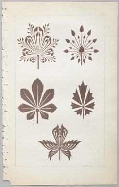 <em>"Botanical designs."</em>, 1862. Printed material. Brooklyn Museum. (Photo: Brooklyn Museum, NK1560_D81a_Decorative_Design_pl11_PS9.jpg