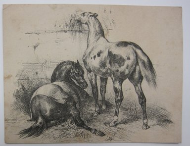 <em>"Colored illustration of a pony standing by a house. Reverse has information about ponies."</em>. Printed material. Brooklyn Museum. (NK4210_L98_F14_Lycett_inv044.jpg