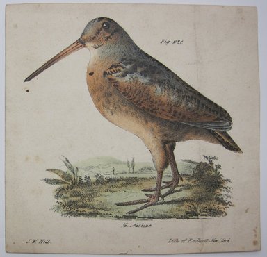 <em>"Postcard with color illustration of a bird with flowers in his mouth, caption 'A token of love from a true heart I bear.' Reverse has purple WM. Lycett Art School stamp."</em>. Printed material. Brooklyn Museum. (NK4210_L98_F14_Lycett_inv045.jpg