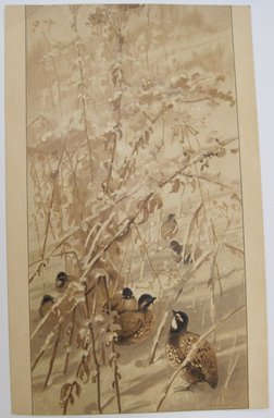 <em>"Illustrated card with colored image of birds in show on the front and monochrome image of bird singing to moon on back."</em>. Printed material. Brooklyn Museum. (NK4210_L98_F14_Lycett_inv224.jpg